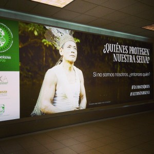 1797324_10152686006599760_8978091291256718416_n